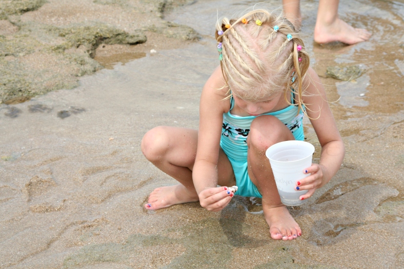 There's so much to discover on the beach! Kids love to find interesting things, especially in rock pools.
