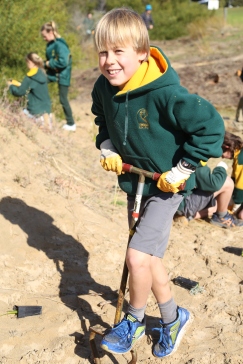 Torquay College student digging a hole for the native plants.