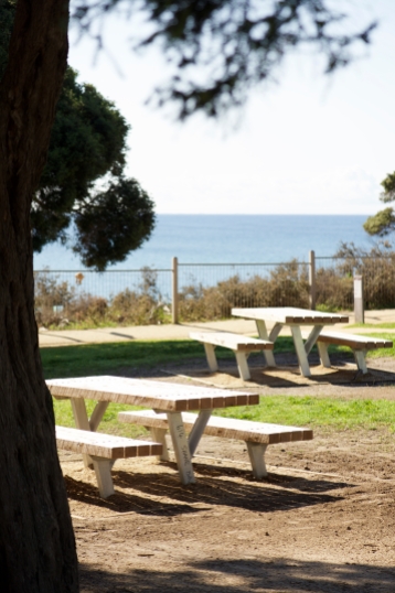 The open grassy areas offer a great place to enjoy a picnic overlooking the Torquay foreshore. Photo: Ferne Millen