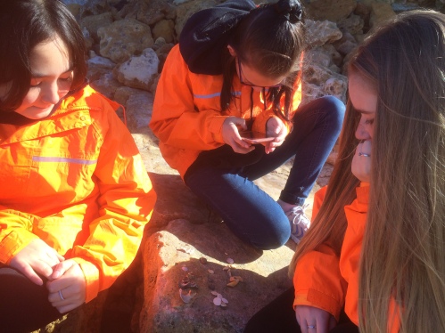 Students collect and analyse shells and other beach items for a deeper understanding of the coast's history.